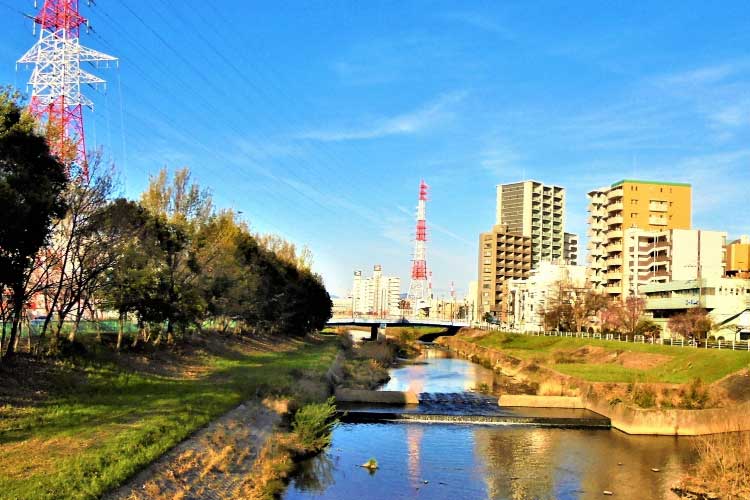 名古屋市天白区の新築一戸建て